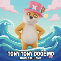 Posing One Piece GIF by Doge Pound