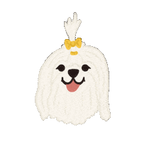 Happy Wink Sticker by Ann of Facedit