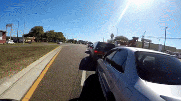 Hey Gurl Are You a Beaver?