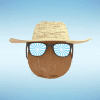 Coco Buffalo GIF by KAA Gent