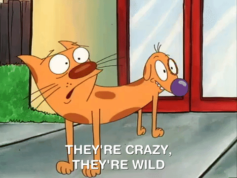 nicksplat GIF