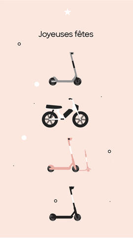 BirdRide giphyupload GIF