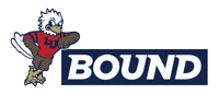 Libertybound Sticker by Liberty University