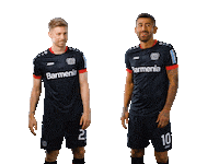Bayer 04 Werkself Sticker by Bayer 04 Leverkusen