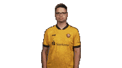 Dynamo Dresden Applause Sticker by Bundesliga