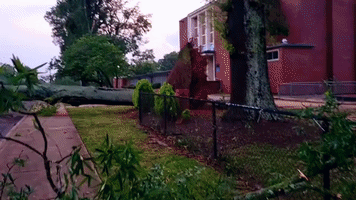 Supercell Storm Downs Trees and Power Lines in North Carolina Town