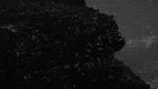 rock metal GIF by ONI