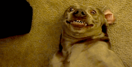 rainnarajput giphyupload GIF