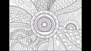 AusMacadamias  GIF