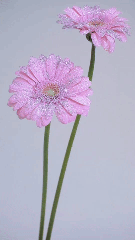 Bling bling flower