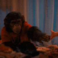 Monkey Holding Hands GIF by Primate Movie