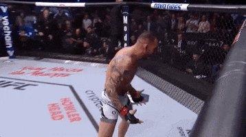Santiago Ponzinibbio Sport GIF by UFC