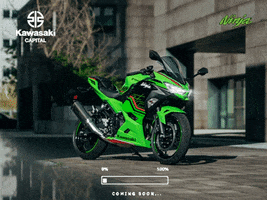Kawasaki Ninja GIF by Ride MB Garage
