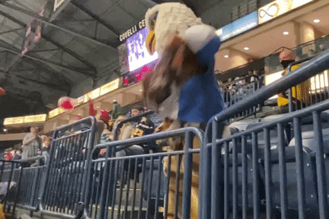 The Eagle Dance GIF by The Hubbard Eagle