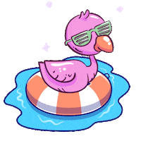 Flamingo Piscina Sticker by Pousada Girassol