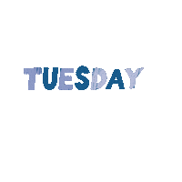 Taco Tuesday Sticker by Coins And Connections