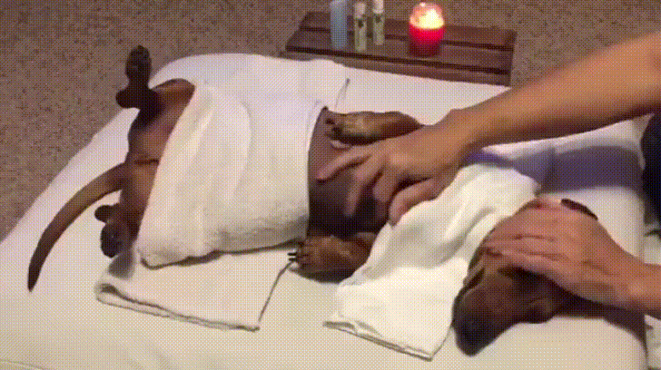 day spa GIF