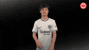 Bundesliga GIF by Eintracht Frankfurt