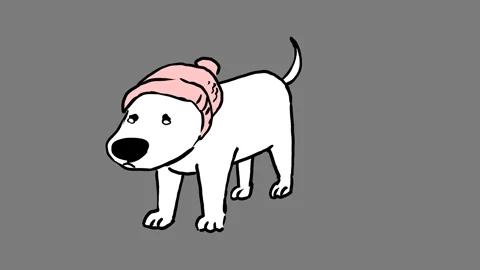 giphy.webp
