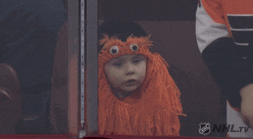 ice hockey GIF by NHL