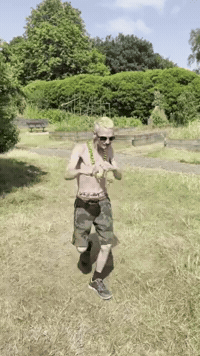 Nit GIF