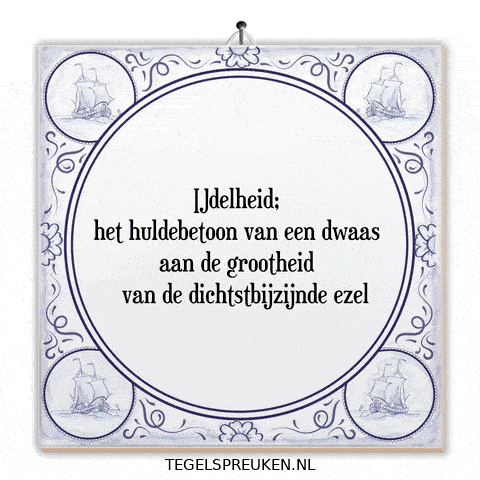 Humor Wijsheid GIF by Tegelspreuken.nl