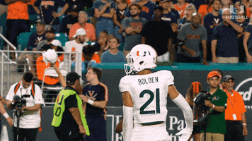 Hurricanes Football Pump Up The Crowd GIF by Miami Hurricanes