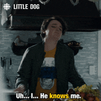 dog knows GIF by CBC