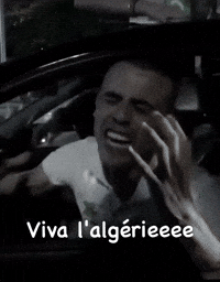 Algeria Dz GIF