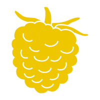 Ackerpause plant grow raspberry himbeere Sticker