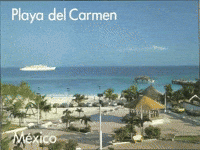 Playa Del Carmen Pdc GIF by Adventrgram