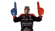 Celebration Goal Sticker by Les Ducs d'Angers