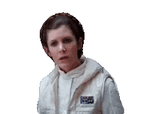 Princess Leia Yes Sticker