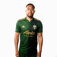 Portland Timbers Sport GIF by Timbers