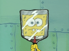 season 1 episode 6 GIF by SpongeBob SquarePants