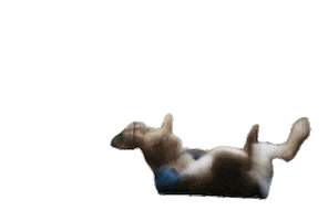 Sad On My Way Sticker by Peter Rabbit Movie