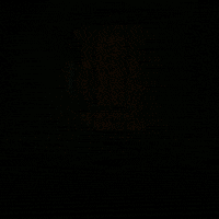 Internet Crypto GIF by Nexus