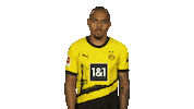 Borussia Dortmund Sticker by Bundesliga