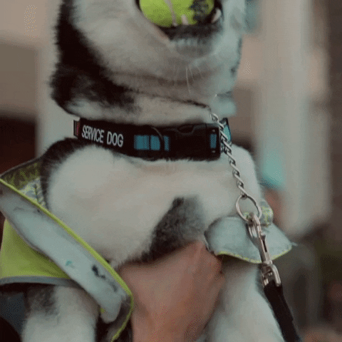 Fun Smile GIF by AwesomenessTV
