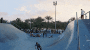 skateboarding we are blood GIF by EchoBoom Sports