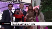 GIF by euronews
