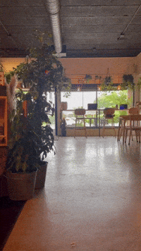 cafeconmigo running conmigo GIF