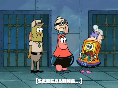 season 6 GIF by SpongeBob SquarePants