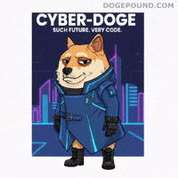 Shiba Inu Dog GIF by Doge Pound