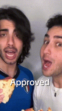 Approve Italian GIF