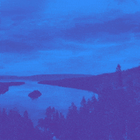 Brynne4Congress california ski mountains snowboarding GIF