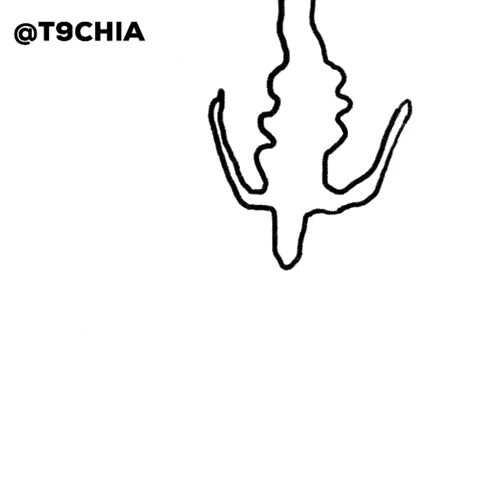 Animation Morocco GIF