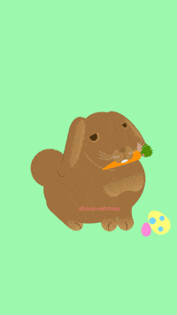 Brown Bunny Rabbit GIF