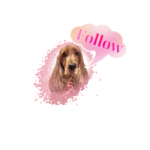 Cocker Spaniel Lady Sticker by Pimp Yo Pets