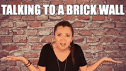 Come On Reaction GIF by Amanda Cee Media